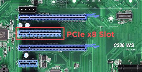 pci express card slot types